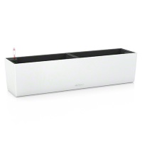 Balconera Color 80 .     . Belflower -    .     .